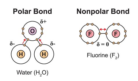 polar vs nonpolar vs ionic bonds