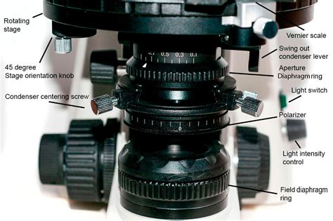 Polarising Filter Microscope