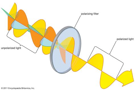 Polarized Light And Polarizing Filter