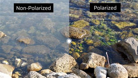 Polarized Vs Non Polarized Sunglasses Which Is Better