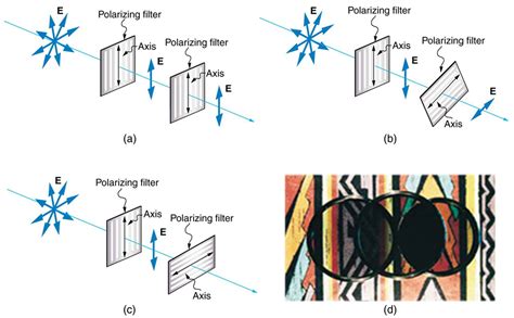Polarizing Filter Physics