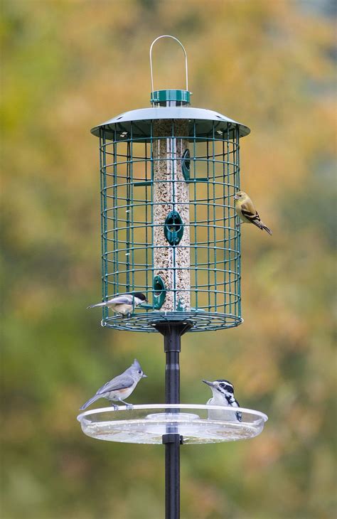 serverkit.org:pole mounted bird feeders
