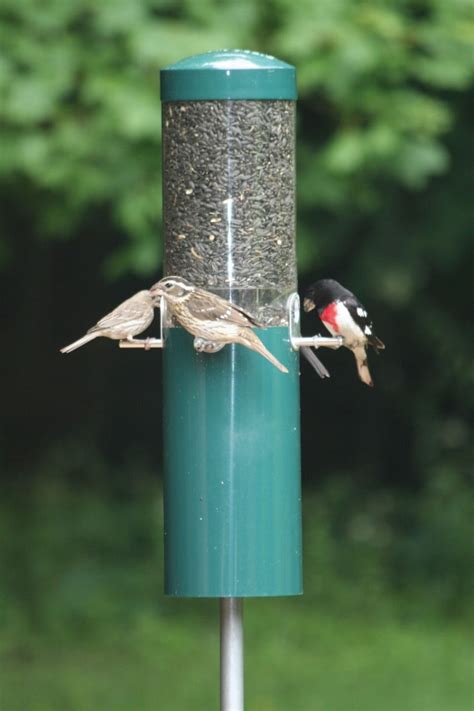www.friperie.shop:pole mounted bird feeders