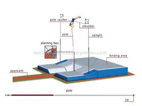 Pole Vault Pole Dimensions
