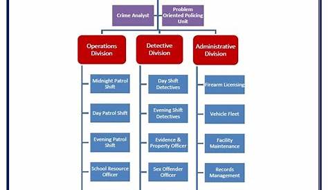 Chicago Police Hierarchy Structure Police Ranks