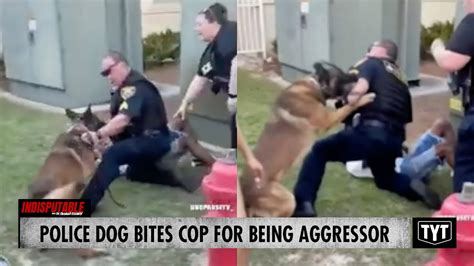 police dog bites cop for attacking teenager