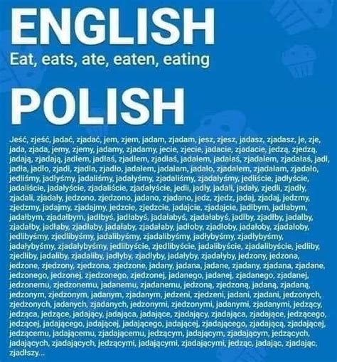 polish english language newspaper