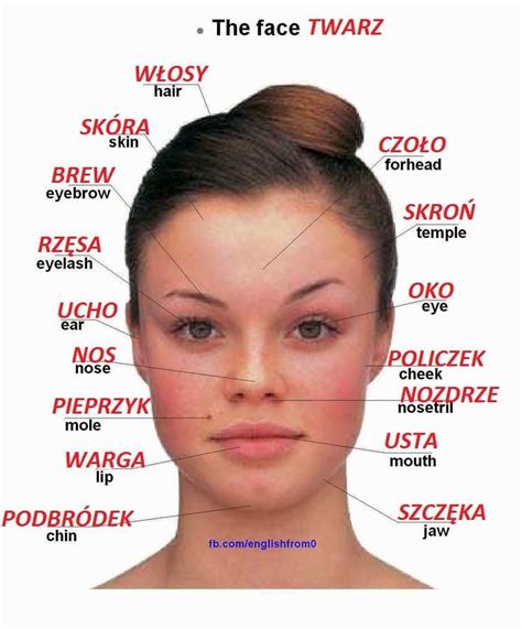 polish facial characteristics