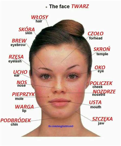 polish facial traits