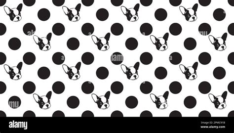 Polka dot pattern dog