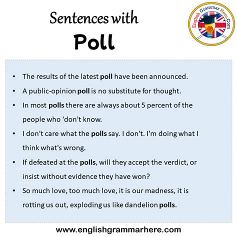 poll in a sentence examples