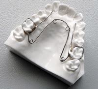pollei orthodontics