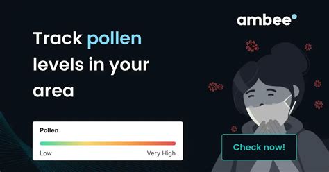 pollen count denver