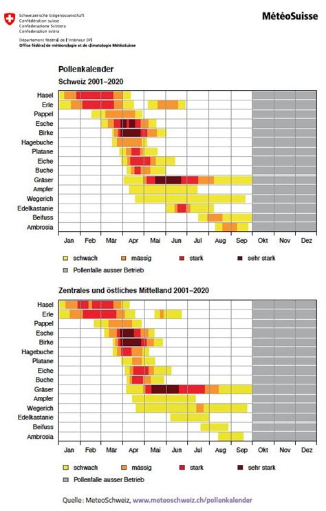 Pollen Forecast Zurich