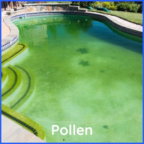 Pollen Season and Your Pool AquaTek Pool Care & Repair