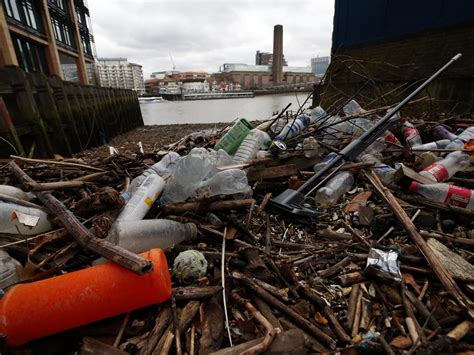 pollution in river thames