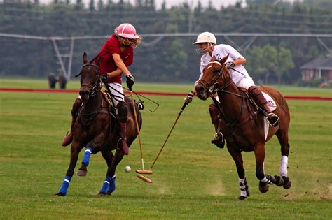 polo players in white