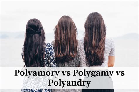 polyamory vs polyandry
