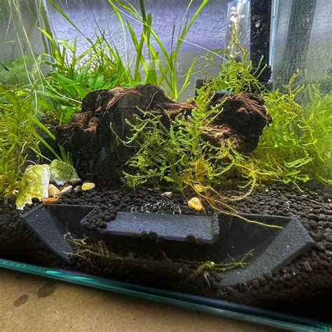 Polyester Safe For Fish Tank