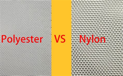 Polyester Vs Nylon Swimwear