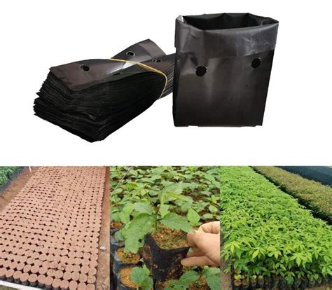 polyethylene perforated bags for gardening