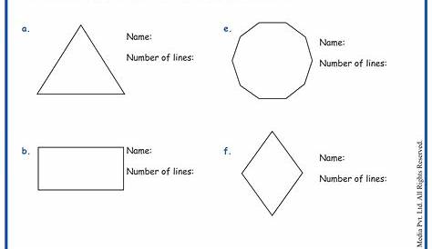 Grade 4 Polygon Review worksheet | Worksheets, Identifying polygons
