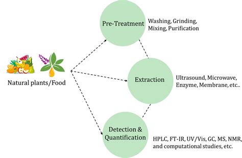 Polyphenol Quantification