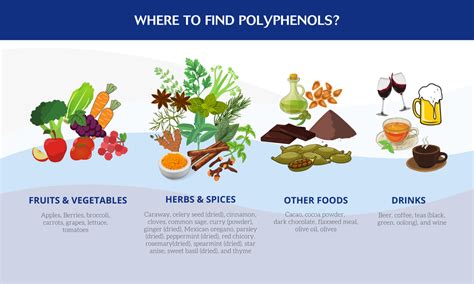 Polyphenols Function