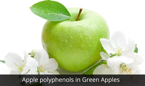 Polyphenols in apples