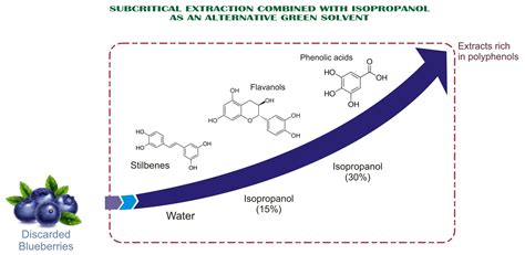 Polyphenols In Blueberries
