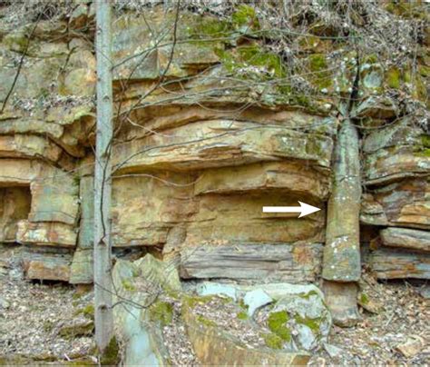 Polystrate Fossils Explained