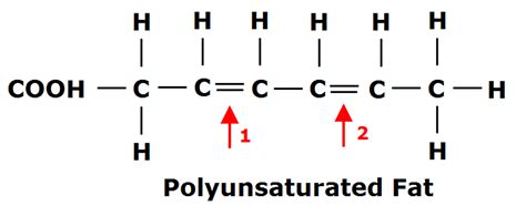 Polyunsaturated Fatty Acid Example