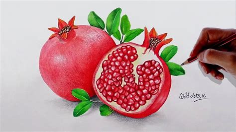 Realist drawing Pomegranate step by step (soft pastel