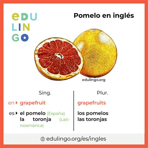 Pomelo En Ingles Uk