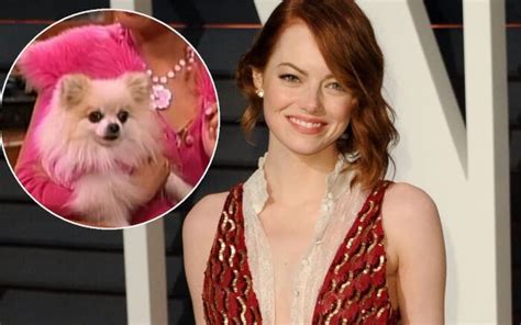 pomeranian voiced by emma stone in suite life