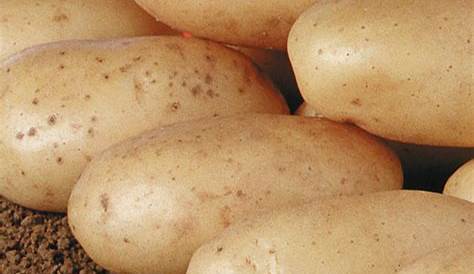 Recette pommes de terre au safran - Marie Claire