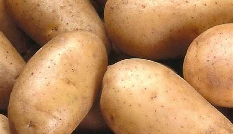 Pommes de terre SAMBA petites sac de 5kg