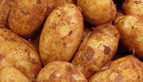 Archives des Pommes de terre - Siffert