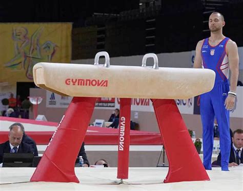 Pommel Horse Dimensions