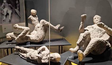 Pompeii Reopens Its Museum With New Artifacts Decades