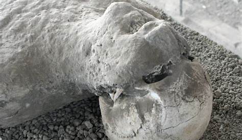 Pompeii, Italy One of the bodies uncovered from the
