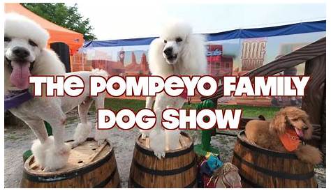 Pompeyo Family Dog Show Talents Of Rescue Pups Put On Display At San Antonio Rodeo