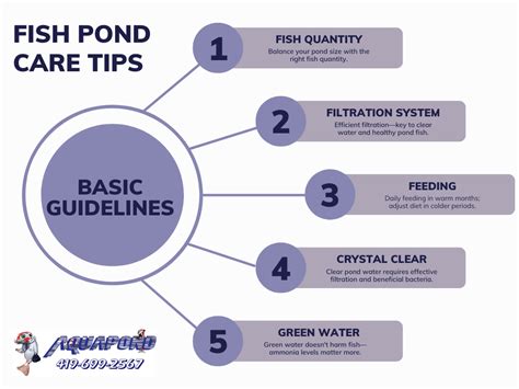 Pond Care Tips