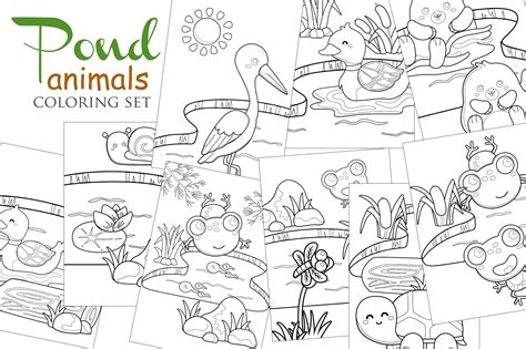 Pond Life Coloring Sheets