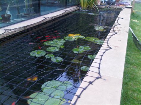 Pond Net Safety