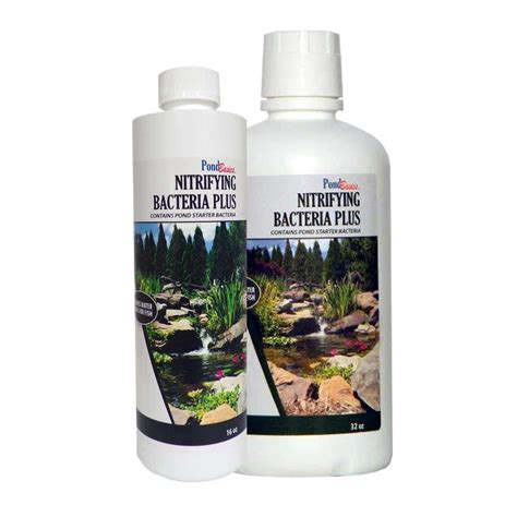 Pond Nitrifying Bacteria