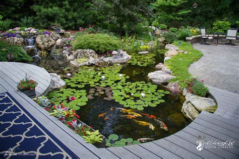 pond services near me cost