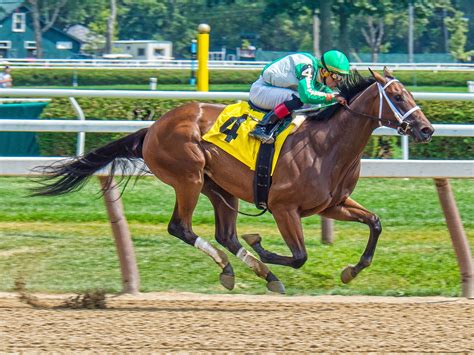 pony horse race