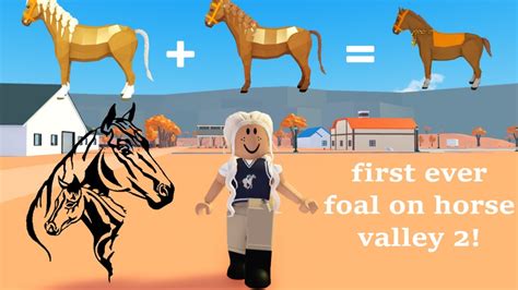 pony horse valley