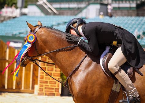 USEF Pony Finals Daily News, Results, & Candids August 8, 2023 Phelps Media Group